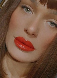 Elena - escort in Madrid Photo 2 of 6