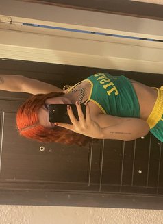 Elfesya08 - Transsexual escort in İstanbul Photo 11 of 11