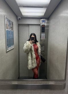 Elfesya08 - Transsexual escort in İstanbul Photo 6 of 11