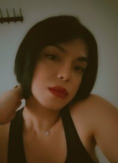 Eli 888 - Transsexual escort in Al Ain Photo 14 of 14