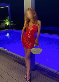 Eli Seleena Independent Beauty (Meets) - escort in Colombo Photo 12 of 23