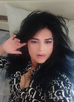 Elif - escort in Al Manama Photo 4 of 4