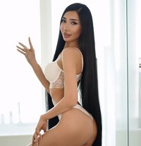 Elif Turkish Kazakh Mix - escort in Dubai Photo 7 of 11