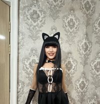 Elif - Transsexual escort in Jeddah