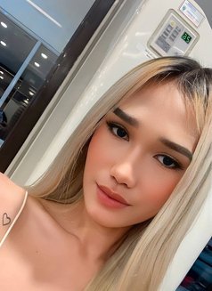 Eliselust - Transsexual escort in Manila Photo 4 of 10