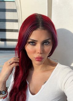Elissa Bunny - Acompañantes transexual in İstanbul Photo 7 of 29