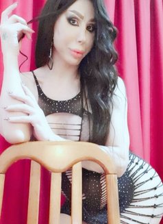 Elissa queen - Transsexual escort in Beirut Photo 15 of 18