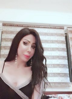 Elissa queen - Transsexual escort in Beirut Photo 17 of 18