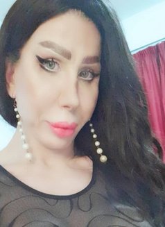 Elissa queen - Transsexual escort in Beirut Photo 18 of 18