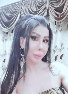 Elissa queen - Transsexual escort in Damascus Photo 1 of 12