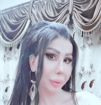 Elissa queen - Acompañantes transexual in Damascus