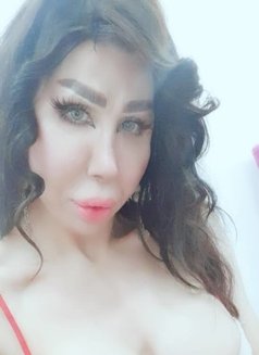 Elissa queen - Transsexual escort in Damascus Photo 6 of 12