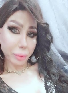 Elissa queen - Transsexual escort in Damascus Photo 8 of 12