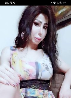 Elissa queen - Transsexual escort in Damascus Photo 10 of 12