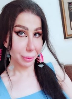 Elissa queen - Transsexual escort in Damascus Photo 12 of 12