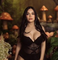 Valentina (Newest in Town) - Agencia de acompañantes transexuales in Bangkok