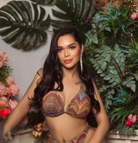 Valentina (Newest in Town) - Transsexual escort agency in Bangkok
