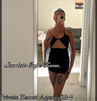 24 Hour Elite Escort Directory(18+) - escort in Johannesburg