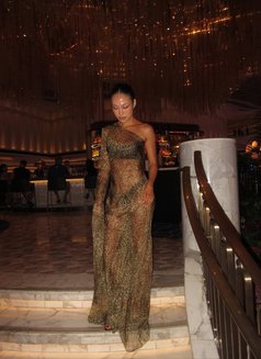 Elite Courtesan GFE - escort in Hong Kong Photo 13 of 13