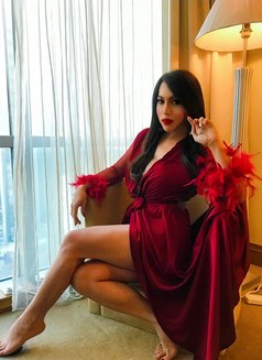 Elite Courtesan Ts Milana Just Landed! - Acompañantes transexual in Bangalore Photo 9 of 30