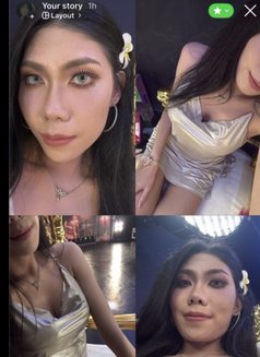 Elite Friends@bangkok - Agencia de putas in Bangkok Photo 5 of 7