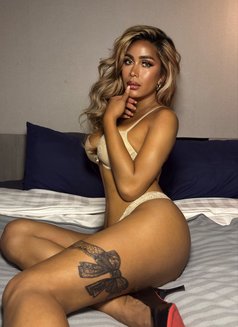 Elite GFE Companionship - Transsexual escort in Bangkok Photo 22 of 30