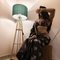 Elite Kanika - escort in Hyderabad Photo 3 of 5