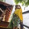 Elite Kanika - escort in Hyderabad Photo 4 of 15