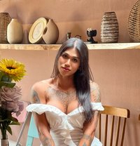 ElizaHungbigtop - Acompañantes transexual in Bangkok