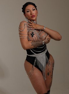 Elizza Xl - Acompañantes transexual in İstanbul Photo 8 of 12