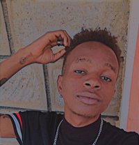 Ell - Transsexual escort in Nairobi