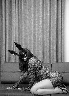 ella big ass girl - escort in Muscat Photo 6 of 7