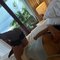 Ella Dịch Vụ Full 🦋🦋 - escort in Doha Photo 1 of 11
