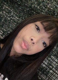 Ella - Acompañantes transexual in Manila Photo 3 of 3