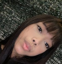 Ella - Transsexual escort in Manila