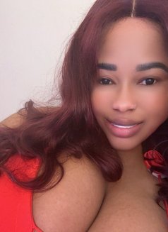 Ella - escort in Dubai Photo 1 of 8