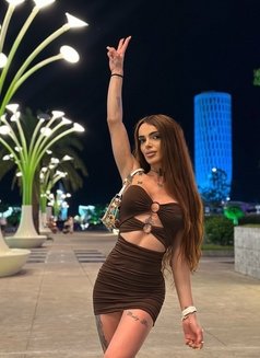 Ella Shemale 20/4 - Transsexual escort in Yerevan Photo 12 of 12