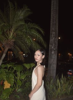 Ellaine - Acompañantes transexual in Manila Photo 3 of 3
