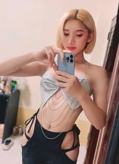 Elle,both,Sweetbottom - Acompañantes transexual in Pattaya Photo 12 of 15