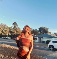 Elle - Transsexual escort in Kuala Lumpur