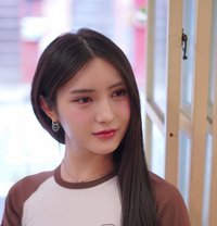 Solar Elle - Transsexual escort in Bangkok