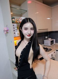Solar Elle - Transsexual escort in Bangkok Photo 25 of 25