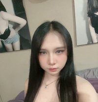 Elle - Transsexual escort in Bangkok