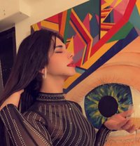 Ellen Hadad - Acompañantes transexual in Amman