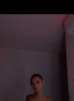 Elliana. Allatass - Acompañantes transexual in Bali Photo 3 of 5