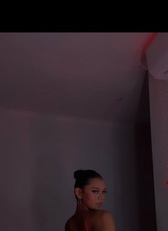 Elliana. Allatass - Acompañantes transexual in Bali Photo 4 of 5