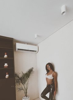 Elliana. Allatass - Acompañantes transexual in Bali Photo 5 of 5