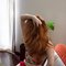Ellie Aymes December - escort in New Delhi Photo 1 of 18