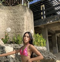 Ellie Big Cock - Acompañantes transexual in Cebu City