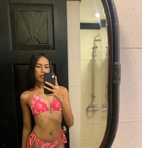 Ellie - Transsexual escort in Cebu City